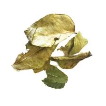 Healthy Dried Curry Leaves